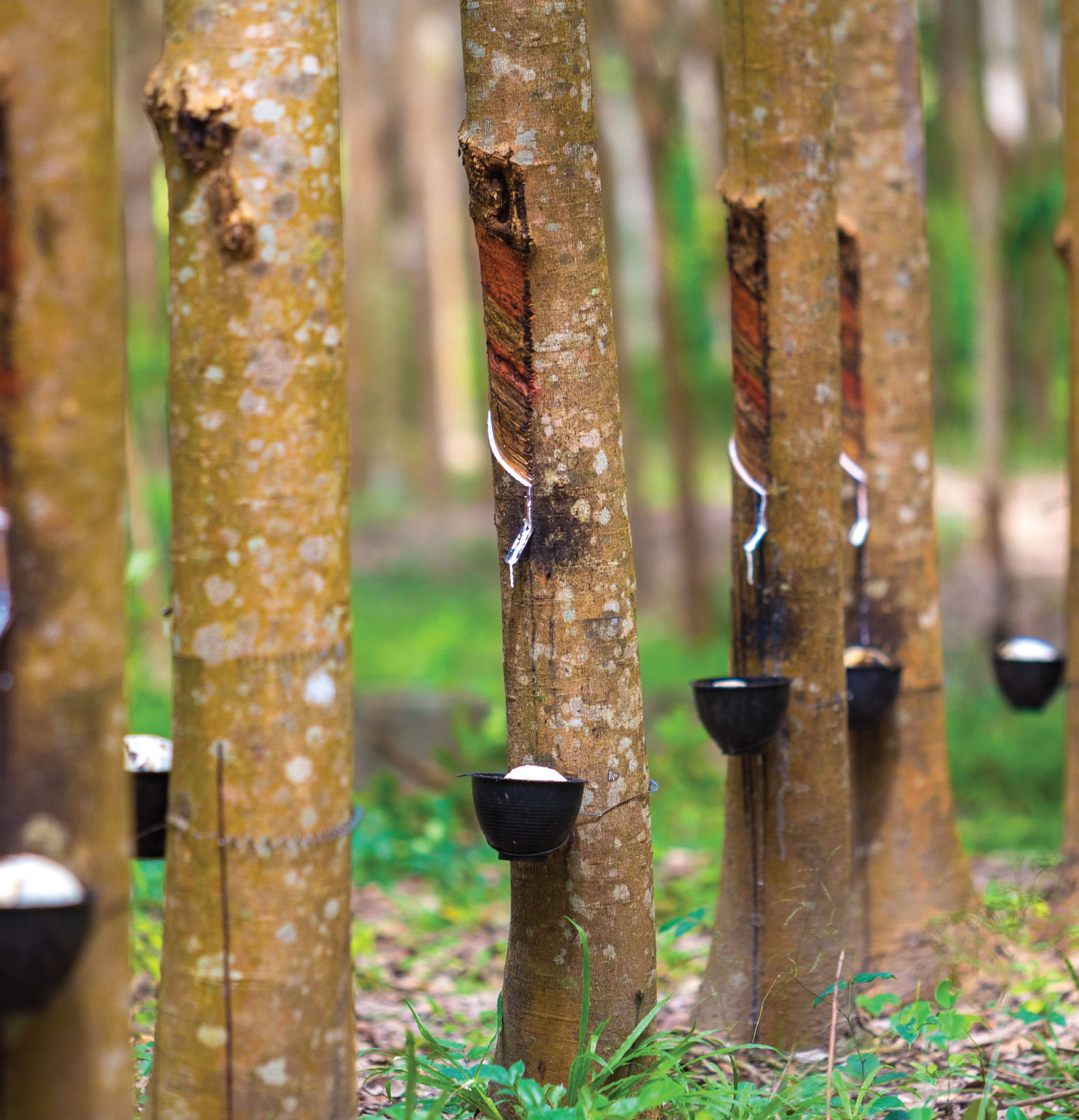 20th-anniv-section-2-visual-scaled